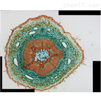 CCD UHCCD1400KPA荧光数字CCD UHCCD1400KPA